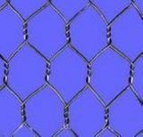 Hexagonal Wire Mesh