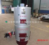 Biogas Biomass Hot Water Boiler