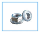 DIN6923 Stainless Steel Hex Flange Nut