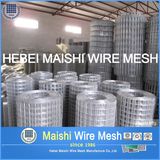 High Quality Welded Wire Mesh