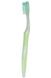Translucent Tooth Brush