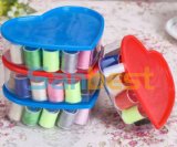 Sewing Kit with Fashionable Plastic Case