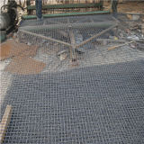 Crimped Wire Mesh/ Filter Mesh