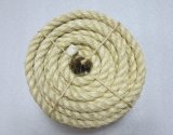 Sisal Rope Twisted Oiled/ Unoiled