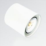 22W LED Down Light for Aluminum (Kd-721r)