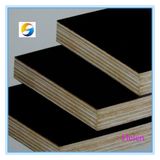 Export Saudi Arabia Film Faced Plywood