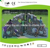 Outdoor Fitness Equipment (KQ10164A)