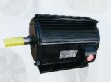 2015hot Selling 12p Yffseries Electric Motor for with CE RoHS