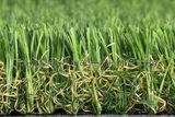 Landscape Grass