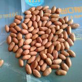 Peanut Kernels 24/28