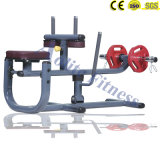 Calf Machine/Body Building Equipment/Commercial Gym Equipment