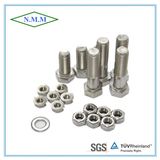 Screw/Bolt/Self-Tapping Screw/Assemblies Screws Fastener