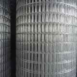 Galvanized Welded Wire Mesh