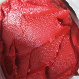 Fresh High Quality Canned Tomato Paste for Africa Market