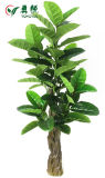 Yongyue 0810 Hot Sale 5.91 Ft 75 Foliages Artificial Ficus Elastica for Wholesale