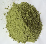 Dried Spinach Powder