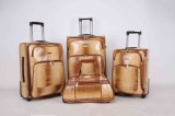 Africa Market Hotsale Luggage Trolley Case Jb010