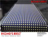Sorting Industry Modular Conveyor Belt (HS-2800C)