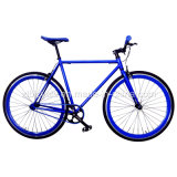 Hi-Tensile Steel Fixed Gear Bicycle