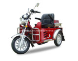 Handicapped Tricycle 110cc (DTR-2)