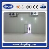 Design Installation Cold Storage Room