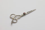 Hair Scissors (U-241)