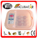 Egg Incubator Va-6