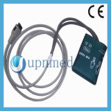 Ge NIBP Hose with Cuff