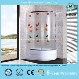 2014 China Hangzhou Manufacture Glass Simple Shower Room (BLS-9622)
