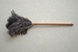 Feather Duster