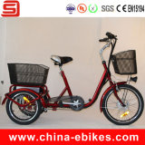 Electric Rickshaw Tricycle (JSE501)