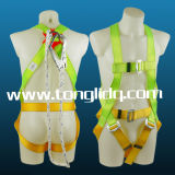Security Harness