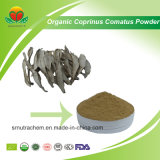 Manufacture Supply Organic Coprinus Comatus Powder