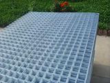 Electric Galvanized Welded Wire Mesh