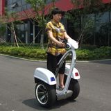 Segway Personal Transporter Freeyoyo G3 Cargo