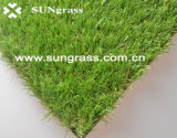 Garden/Landscape/Recreation Artificial Grass (QDS-HG30)