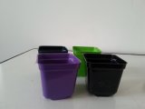 Plastic Flower Pots for Succulent