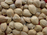 Sweet Almond in Shell (longwangmao 19-22mm)