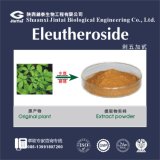 0.8% 1.3% Best Price Eleutheroside Siberian Gingseng Extract