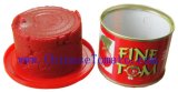 Tomato Paste in Canned Food