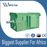 Three Phase Induction Electric Motor