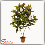 Wedding Decoration Artificial Magnolia Flower Tree Bonsai
