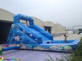 Fish Digital Printing Water Slide, Slide with Pool (RB7009)