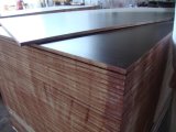Cheap 9mm Film Faced Plywood (formworking) for Constrution
