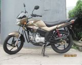 Motorcycle(SP125-C Wolf)