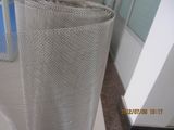 Galvanized Square Wire Mesh