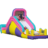 High Quality Commercial Inflatable Slide (AIS0006)