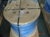 Stainless Steel Wire Rope 1*19