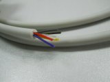 UL21029 Electronic Cable