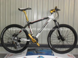 New Model Alloy Bicycle with Best Price (SH-AMTB021)
